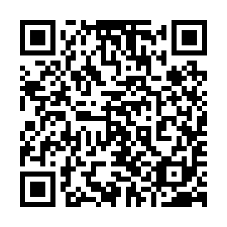 QR code for plate 91C 291