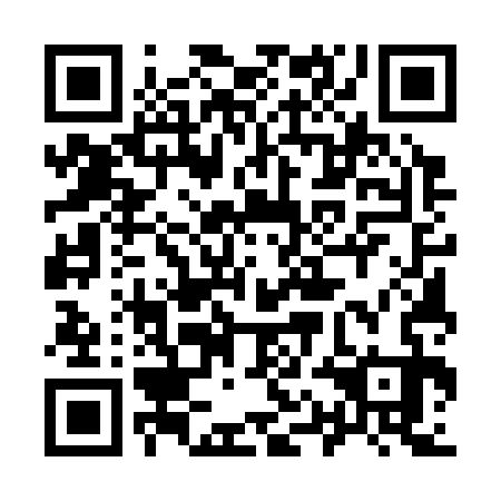 QR code for 91E 333