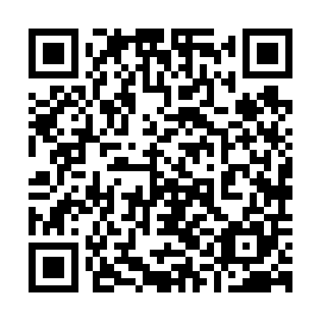 QR code for plate 91H 605