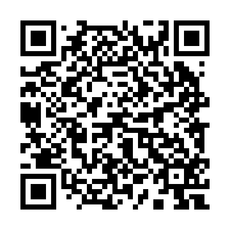 QR code for plate 91L 216