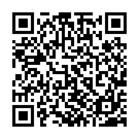 QR code for 91L217
