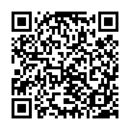 QR code for 91N 463