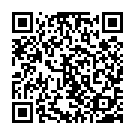 QR code for plate 91N 599