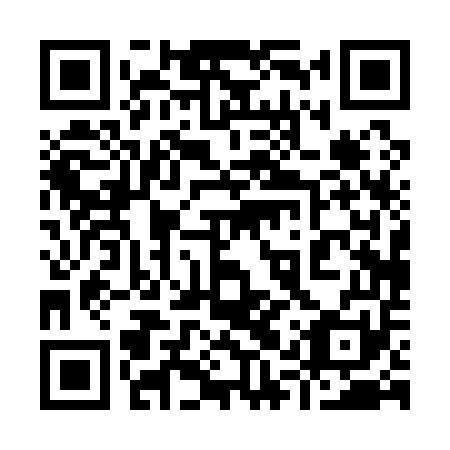 QR code for 91P151