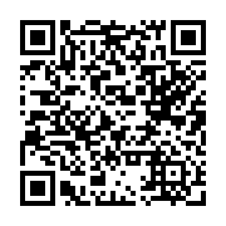 QR code for 91P311