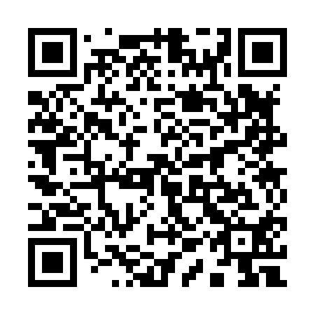 QR code for plate 91S 810