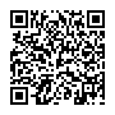 QR code for 91T 233