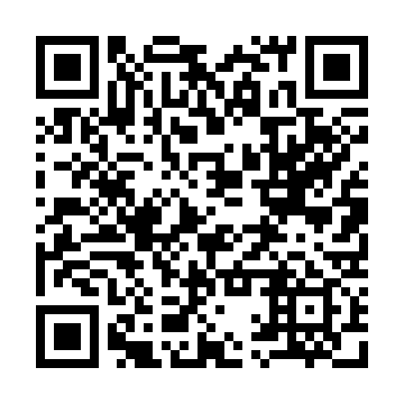 QR code for 91T 339
