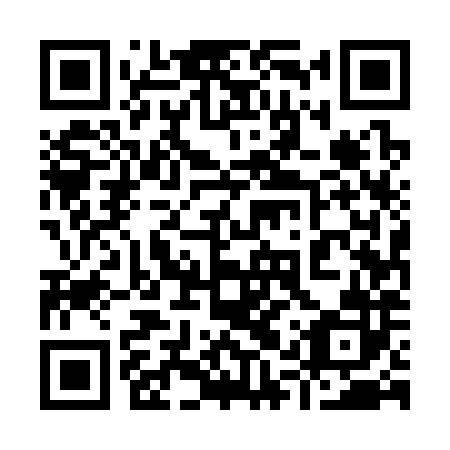 QR code for plate 91U 382