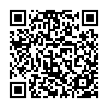 QR code for plate 91V 385