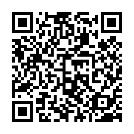 QR code for 91W 419