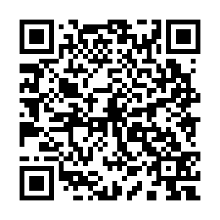 QR code for plate 91X 333
