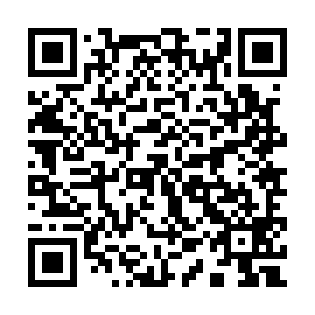 QR code for 91Z199