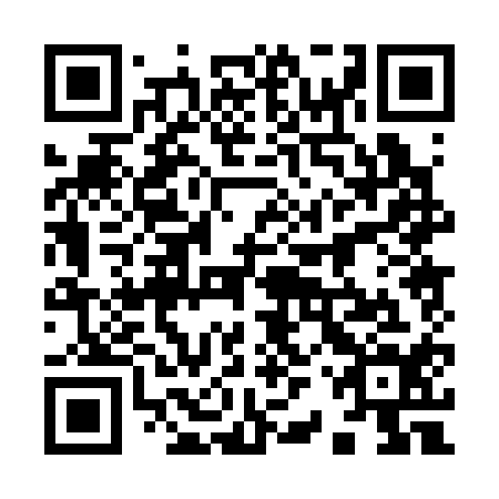 QR code for 92P 314
