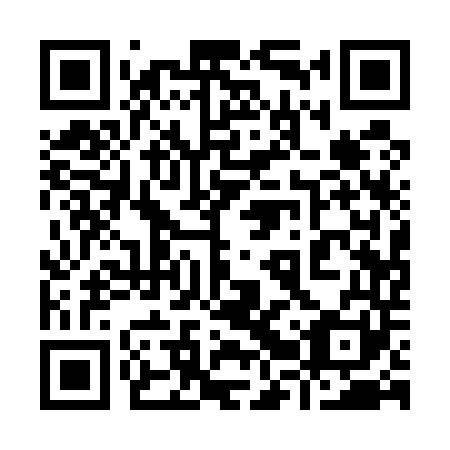 QR code for plate 92Q 541