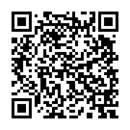 QR code for plate 93B 498
