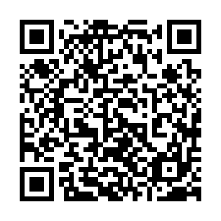 QR code for plate 93H 317
