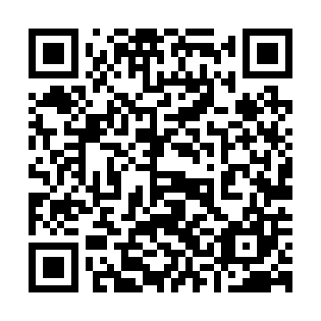 QR code for 93L207