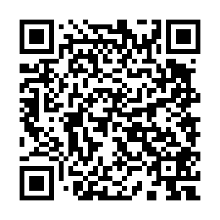 QR code for plate 93N 408