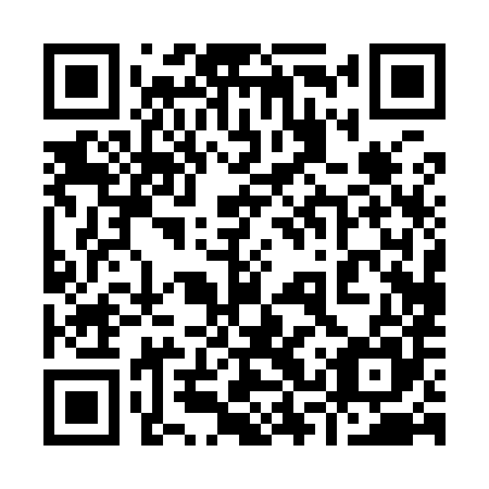 QR code for plate 93P 985