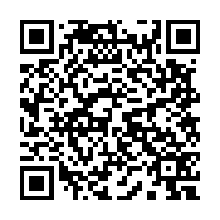 QR code for plate 93R 576