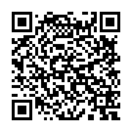 QR code for plate 93S 868