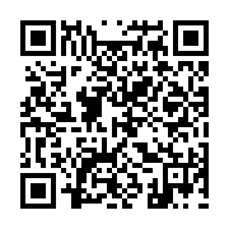 QR code for 93T 295