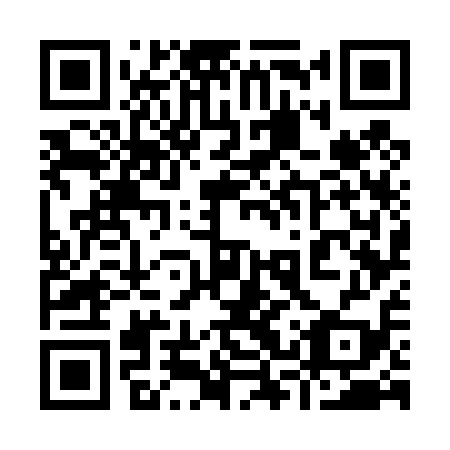 QR code for 93W 419