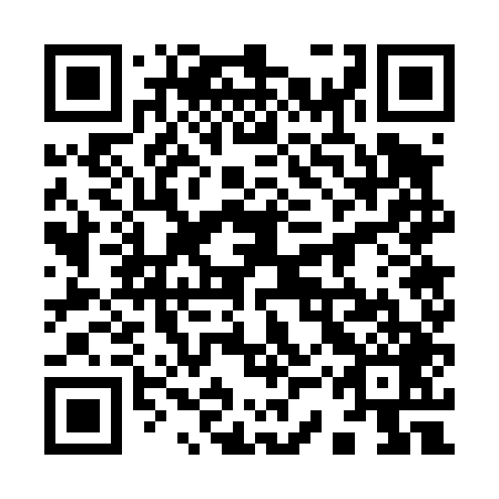 QR code for plate 93W 449
