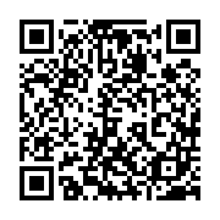 QR code for plate 93X 503