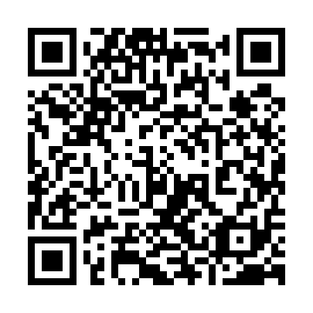 QR code for plate 93Y 511