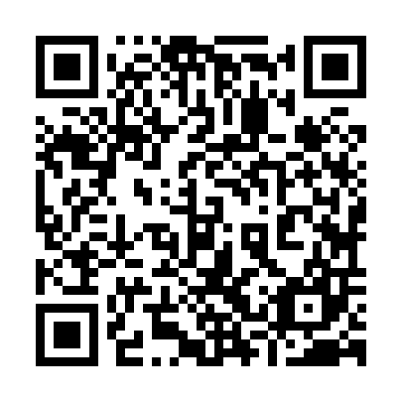 QR code for plate 93Z 807