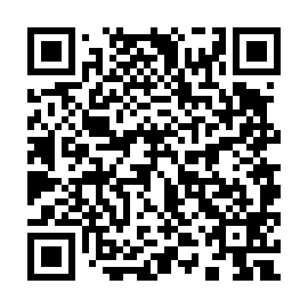 QR code for plate 94V 499