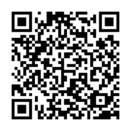 QR code for 94W 739