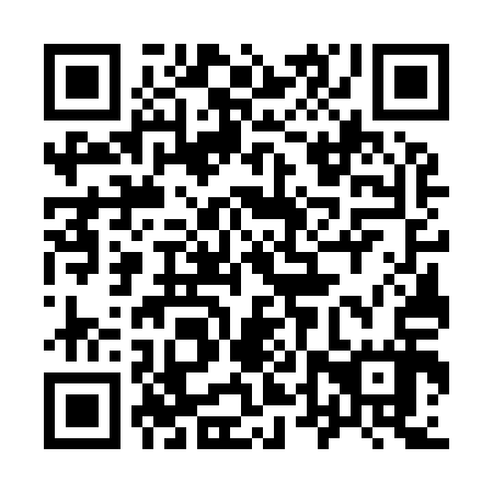 QR code for 94W 917