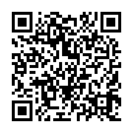 QR code for 95A 919