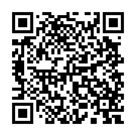QR code for plate 95B 087