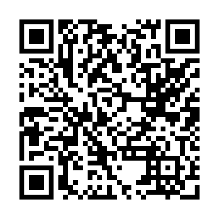 QR code for plate 95C 800