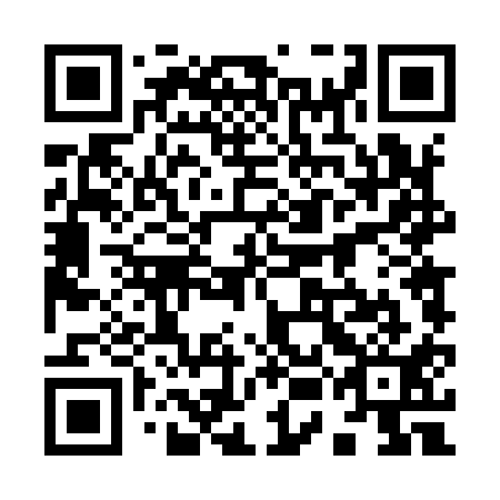 QR code for 95D 911
