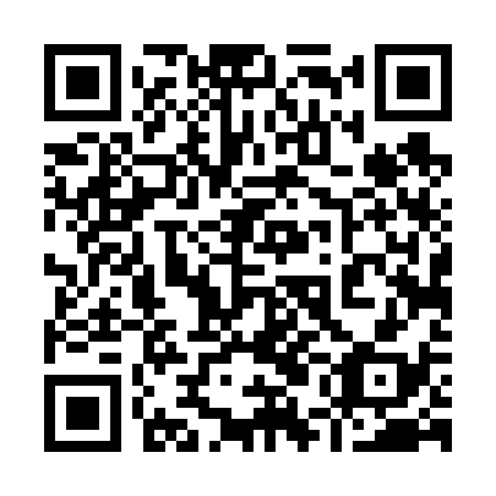 QR code for plate 95D 638