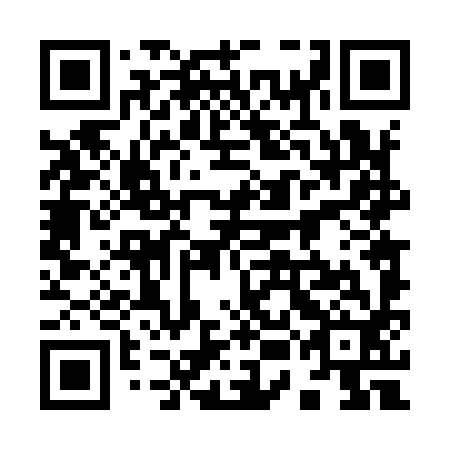 QR code for 95D992
