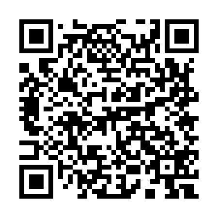QR code for 95E 919