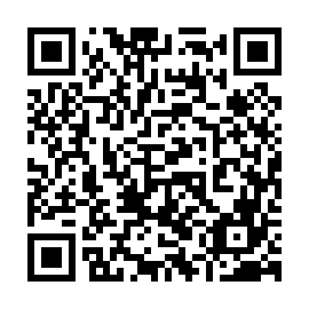 QR code for plate 95E 066