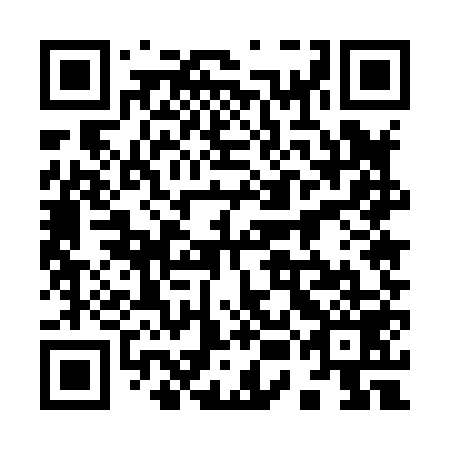 QR code for plate 95E 859