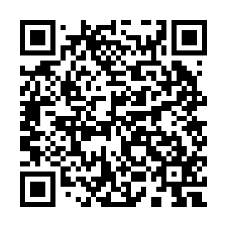 QR code for plate 95G 217