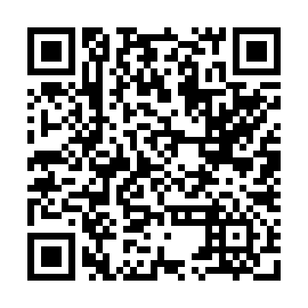 QR code for 95G296