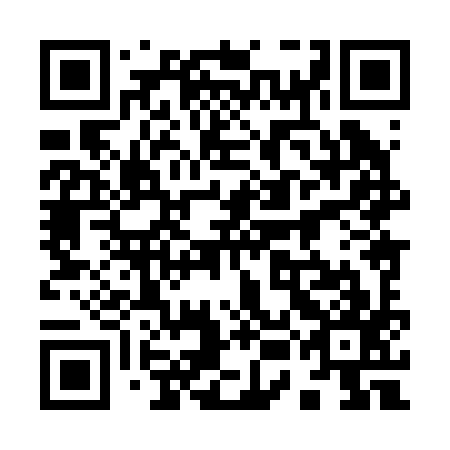 QR code for 95H 297