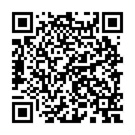QR code for plate 95H 392