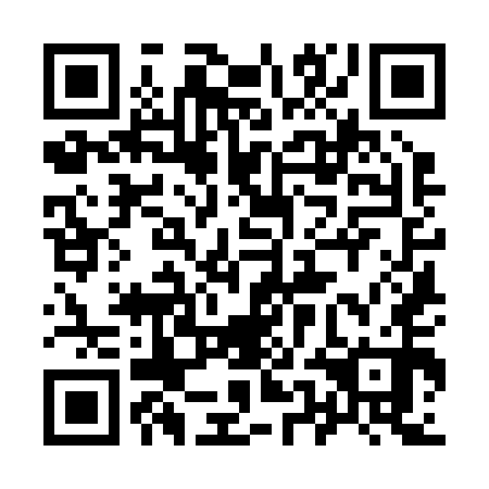 QR code for 95K 250