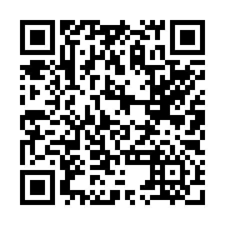 QR code for 95L 296